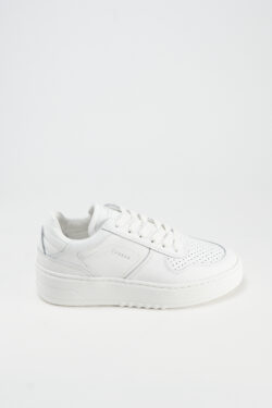 CPH71 vitello white